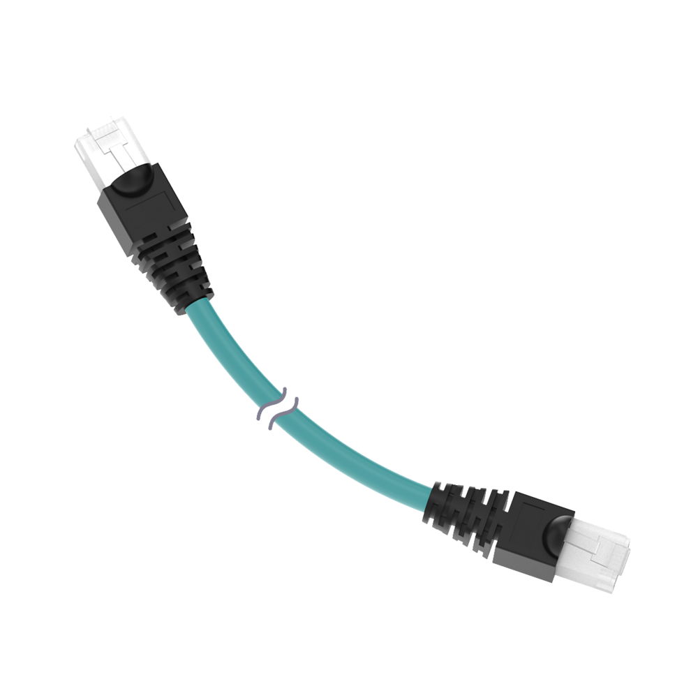 BCD-RJ45 RJ45-0.3M