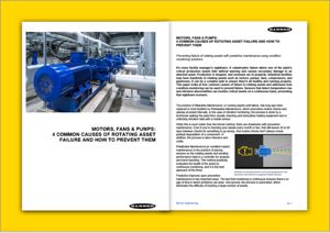 Motors Fans Pumps Whitepaper Form